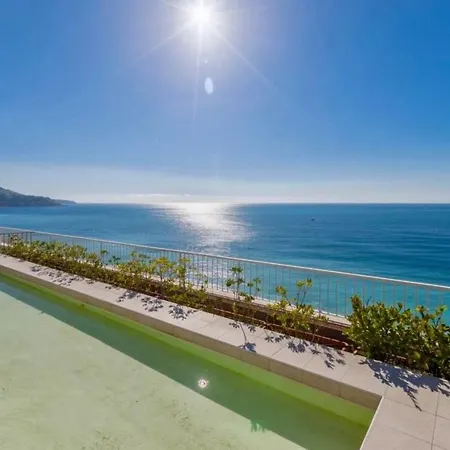 Royal Promenade Pool Terrace Sea View Air Conditioning شقة نيس